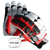 Batting Gloves